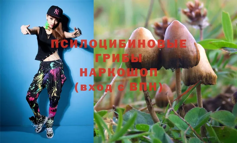 дарнет шоп  Ельня  Галлюциногенные грибы Magic Shrooms 